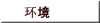 环境