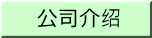 公司介绍