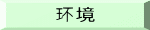 环境 