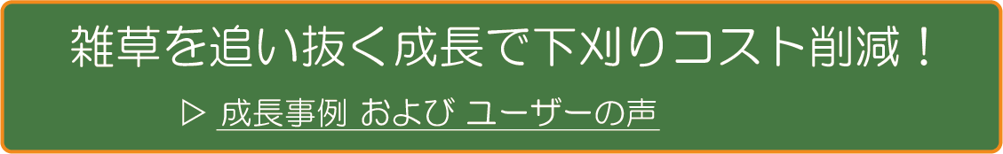 リンク画像
