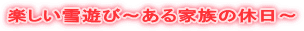 楽しい雪遊び〜ある家族の休日〜
