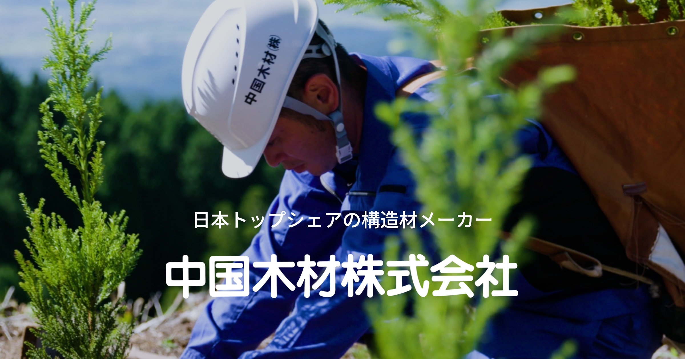 認証取得 | 中国木材｜国内最大の製材会社、循環経済で社会に貢献